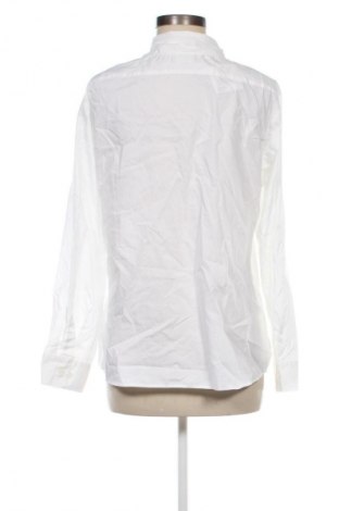 Damenbluse Walbusch, Größe XL, Farbe Weiß, Preis 32,99 €