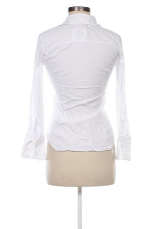 Damenbluse Zara, Größe M, Farbe Weiß, Preis € 18,99