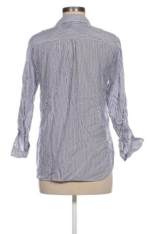 Damenbluse Zara, Größe S, Farbe Mehrfarbig, Preis € 18,99