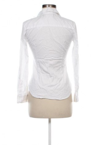 Damenbluse Zara, Größe S, Farbe Weiß, Preis € 13,81