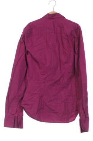 Damenbluse Zara, Größe S, Farbe Lila, Preis 13,81 €