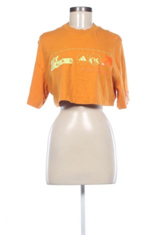Γυναικείο t-shirt Adidas x Ivy Park, Μέγεθος M, Χρώμα Πορτοκαλί, Τιμή 13,80 €