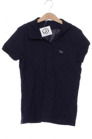 Damen T-Shirt Lacoste, Größe XS, Farbe Blau, Preis 37,99 €