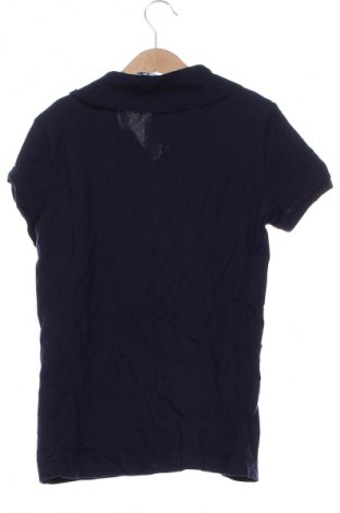 Damen T-Shirt Lacoste, Größe XS, Farbe Blau, Preis 37,99 €