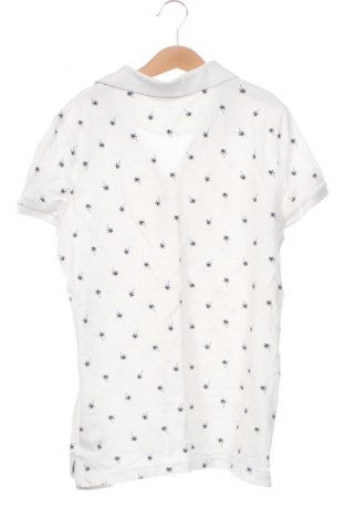 Damen T-Shirt Montego, Größe XS, Farbe Weiß, Preis 9,79 €