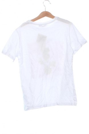 Damski T-shirt Stradivarius, Rozmiar XS, Kolor Biały, Cena 55,99 zł