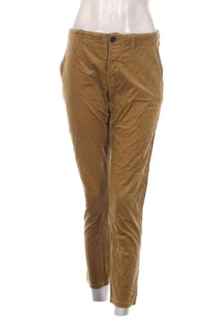 Damen Cordhose Stefanel, Größe L, Farbe Braun, Preis 61,99 €