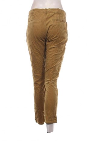 Damen Cordhose Stefanel, Größe L, Farbe Braun, Preis 61,99 €