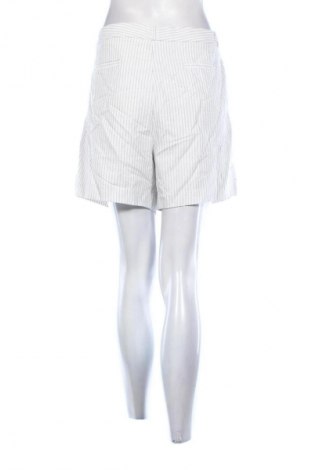 Damen Shorts Banana Republic, Größe XXL, Farbe Mehrfarbig, Preis € 24,55