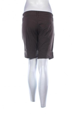 Damen Shorts Miss Sixty, Größe XL, Farbe Braun, Preis 24,35 €