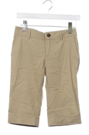 Damen Shorts Zara, Größe S, Farbe Mehrfarbig, Preis € 10,31