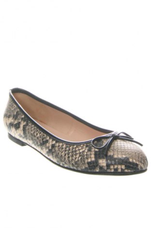 Dámske topánky  Brenda Zaro, Veľkosť 40, Farba Viacfarebná, Cena  73,40 €