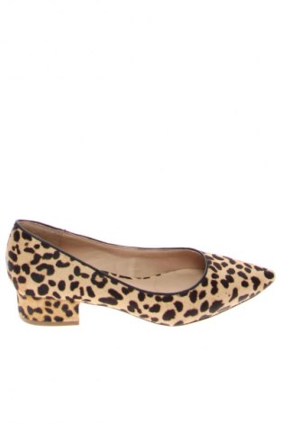 Damenschuhe Steve Madden, Größe 36, Farbe Mehrfarbig, Preis € 45,52