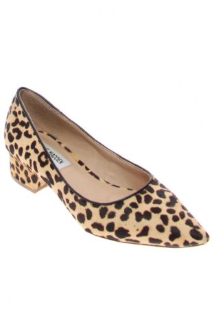 Damenschuhe Steve Madden, Größe 36, Farbe Mehrfarbig, Preis € 45,52