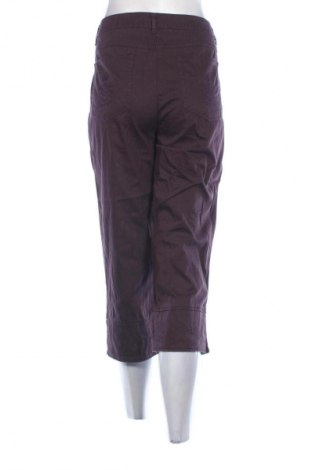 Damenhose Canda, Größe L, Farbe Lila, Preis € 15,13