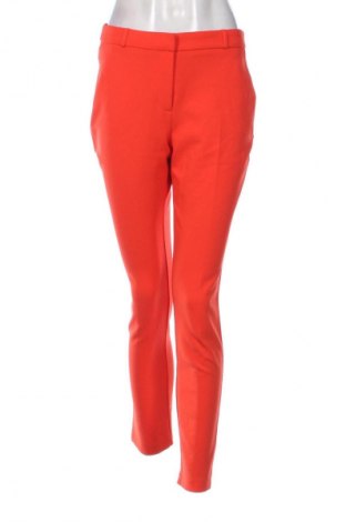 Damenhose Dunnes, Größe S, Farbe Rot, Preis € 21,14