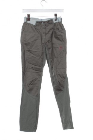 Damenhose La Sportiva, Größe XS, Farbe Grün, Preis 66,99 €