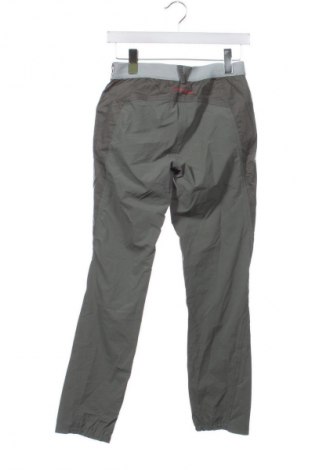 Damenhose La Sportiva, Größe XS, Farbe Grün, Preis 66,99 €