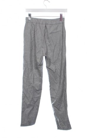 Damenhose Zara Trafaluc, Größe XS, Farbe Grau, Preis € 13,80