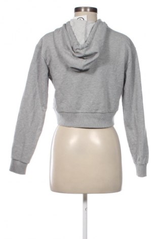 Damen Sweatshirt Better Bodies, Größe S, Farbe Grau, Preis € 28,99