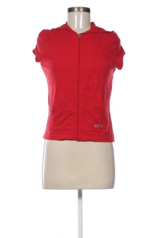 Damen Sweatshirt Esprit, Größe XL, Farbe Rot, Preis € 17,39