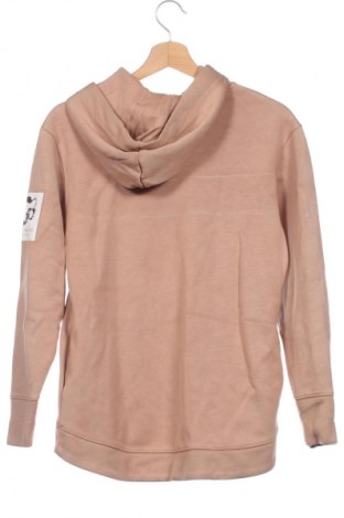 Damen Sweatshirt Ted Baker, Größe XS, Farbe Braun, Preis 43,91 €