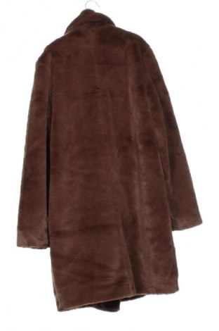Damenmantel Hollister, Größe XS, Farbe Braun, Preis € 66,99