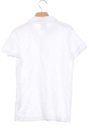 Kinder Shirt Malfini, Größe 10-11y/ 146-152 cm, Farbe Weiß, Preis € 6,02