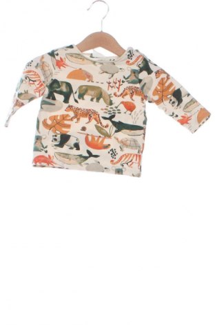 Kinder Shirt Next, Größe 3-6m/ 62-68 cm, Farbe Mehrfarbig, Preis € 7,16