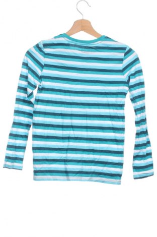 Kinder Shirt Palomino, Größe 8-9y/ 134-140 cm, Farbe Mehrfarbig, Preis € 7,99