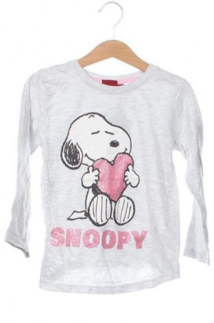 Детска блуза Peanuts, Размер 5-6y/ 116-122 см, Цвят Сив, Цена 8,99 лв.