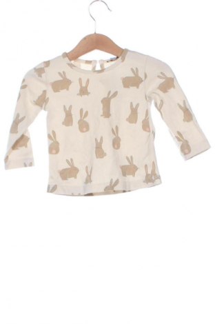 Kinder Shirt Wanex Kids, Größe 9-12m/ 74-80 cm, Farbe Mehrfarbig, Preis € 6,14