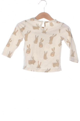 Kinder Shirt Wanex Kids, Größe 9-12m/ 74-80 cm, Farbe Mehrfarbig, Preis € 6,14