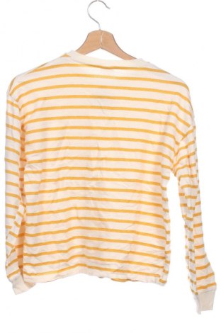 Kinder Shirt Zara, Größe 12-13y/ 158-164 cm, Farbe Mehrfarbig, Preis € 9,99
