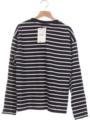 Kinder Shirt Zara, Größe 10-11y/ 146-152 cm, Farbe Mehrfarbig, Preis € 16,18