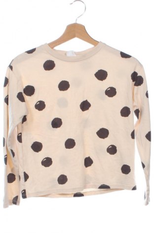 Kinder Shirt Zara, Größe 10-11y/ 146-152 cm, Farbe Mehrfarbig, Preis € 8,09