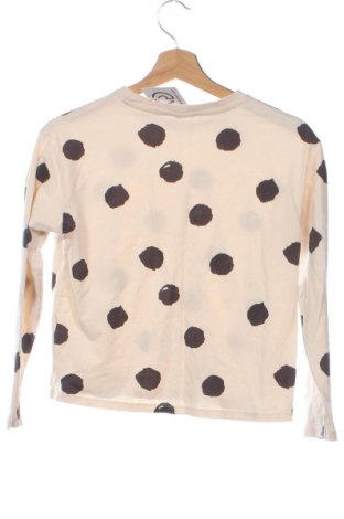Kinder Shirt Zara, Größe 10-11y/ 146-152 cm, Farbe Mehrfarbig, Preis € 8,09