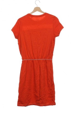 Detské šaty  TCM, Veľkosť 15-18y/ 170-176 cm, Farba Viacfarebná, Cena  13,95 €
