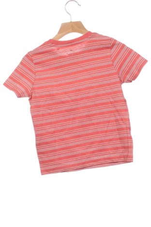 Detské tričko Lupilu, Veľkosť 2-3y/ 98-104 cm, Farba Viacfarebná, Cena  6,14 €