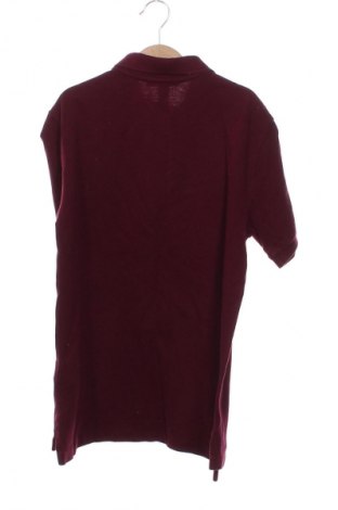 Kinder T-Shirt Polo By Ralph Lauren, Größe 11-12y/ 152-158 cm, Farbe Rot, Preis € 18,99