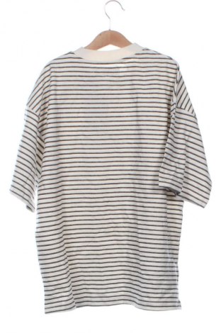 Kinder T-Shirt Zara, Größe 12-13y/ 158-164 cm, Farbe Mehrfarbig, Preis € 10,99