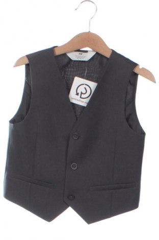Детски елек H&M, Размер 4-5y/ 110-116 см, Цвят Сив, Цена 21,17 лв.