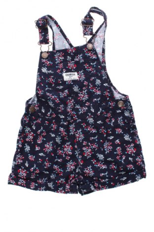 Dětská kombinéza  Oshkosh, Velikost 2-3m/ 56-62 cm, Barva Vícebarevné, Cena  199,00 Kč