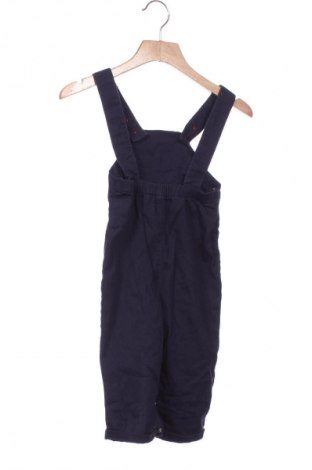 Dziecięcy kombinezon Unbranded, Rozmiar 9-12m/ 74-80 cm, Kolor Niebieski, Cena 44,99 zł