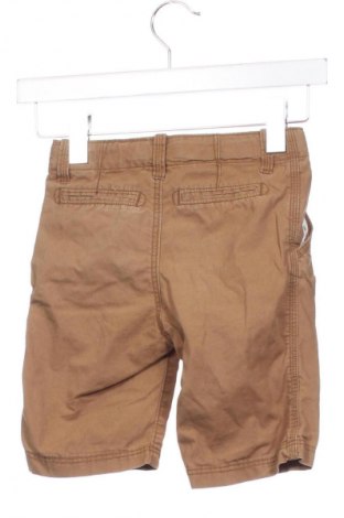 Dětské krátké kalhoty  H&M L.O.G.G., Velikost 4-5y/ 110-116 cm, Barva Hnědá, Cena  176,00 Kč