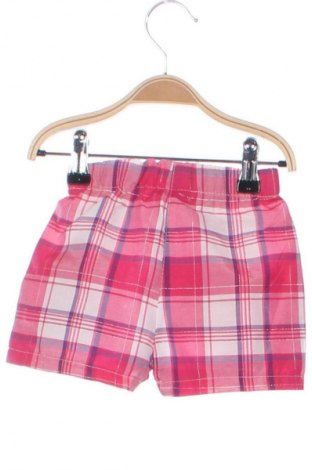 Kinder Shorts Kids, Größe 12-18m/ 80-86 cm, Farbe Mehrfarbig, Preis € 11,76