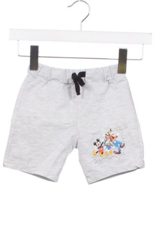 Kinder Shorts LC Waikiki, Größe 18-24m/ 86-98 cm, Farbe Grau, Preis € 7,16