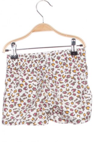 Dětské krátké kalhoty  Lupilu, Velikost 4-5y/ 110-116 cm, Barva Vícebarevné, Cena  129,00 Kč