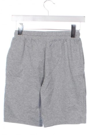 Detské krátke nohavice  Pepperts!, Veľkosť 10-11y/ 146-152 cm, Farba Sivá, Cena  7,16 €