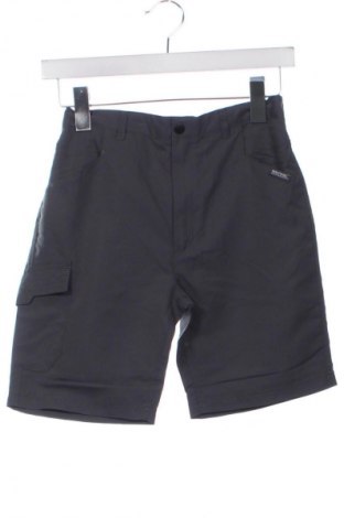 Kinder Shorts Regatta, Größe 11-12y/ 152-158 cm, Farbe Grau, Preis € 25,99